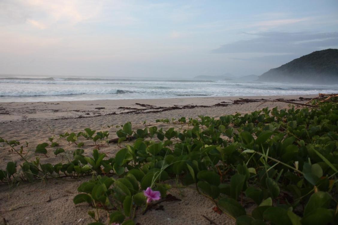 Maloquinha Itamambuca. A Mais Charmosa De Ubatuba. Eksteriør bilde
